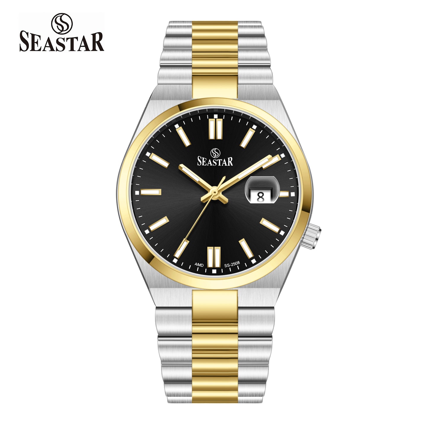 SS-2508M Classic President Magnified Date Premium Steel Men's Watch