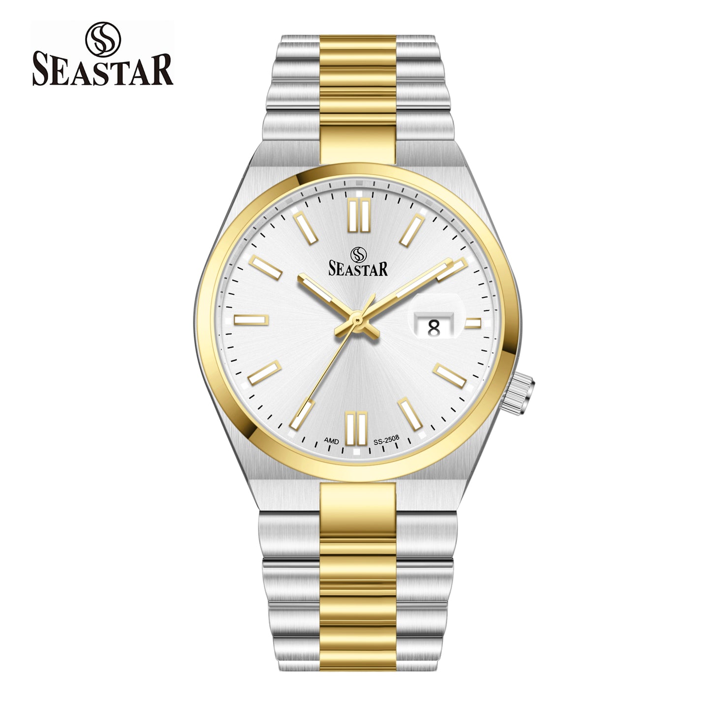 SS-2508M Classic President Magnified Date Premium Steel Men's Watch