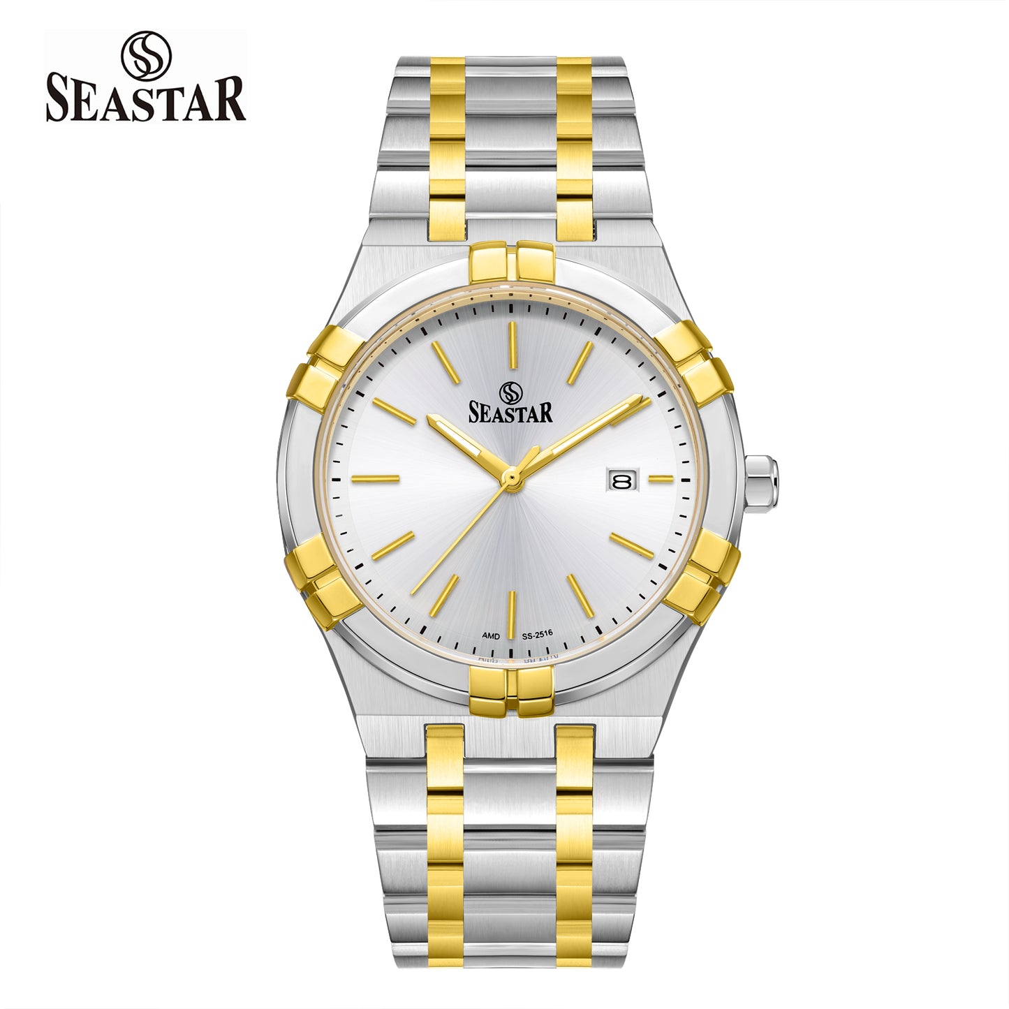 2516M Two-Tone Stainless Steel Men’s Watch