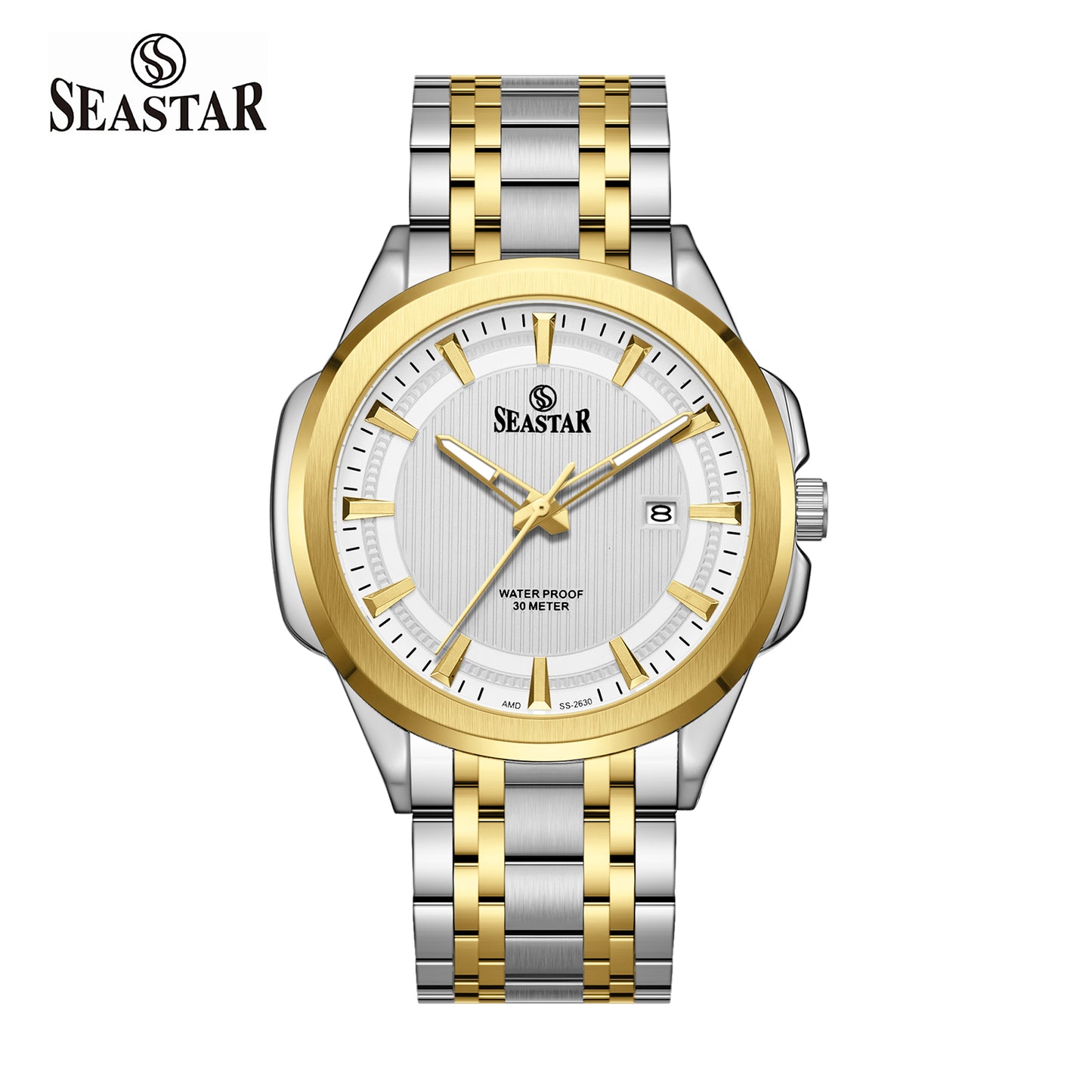 SS-2632M Men's Steel Textured Sunray Dial & Premium Chain